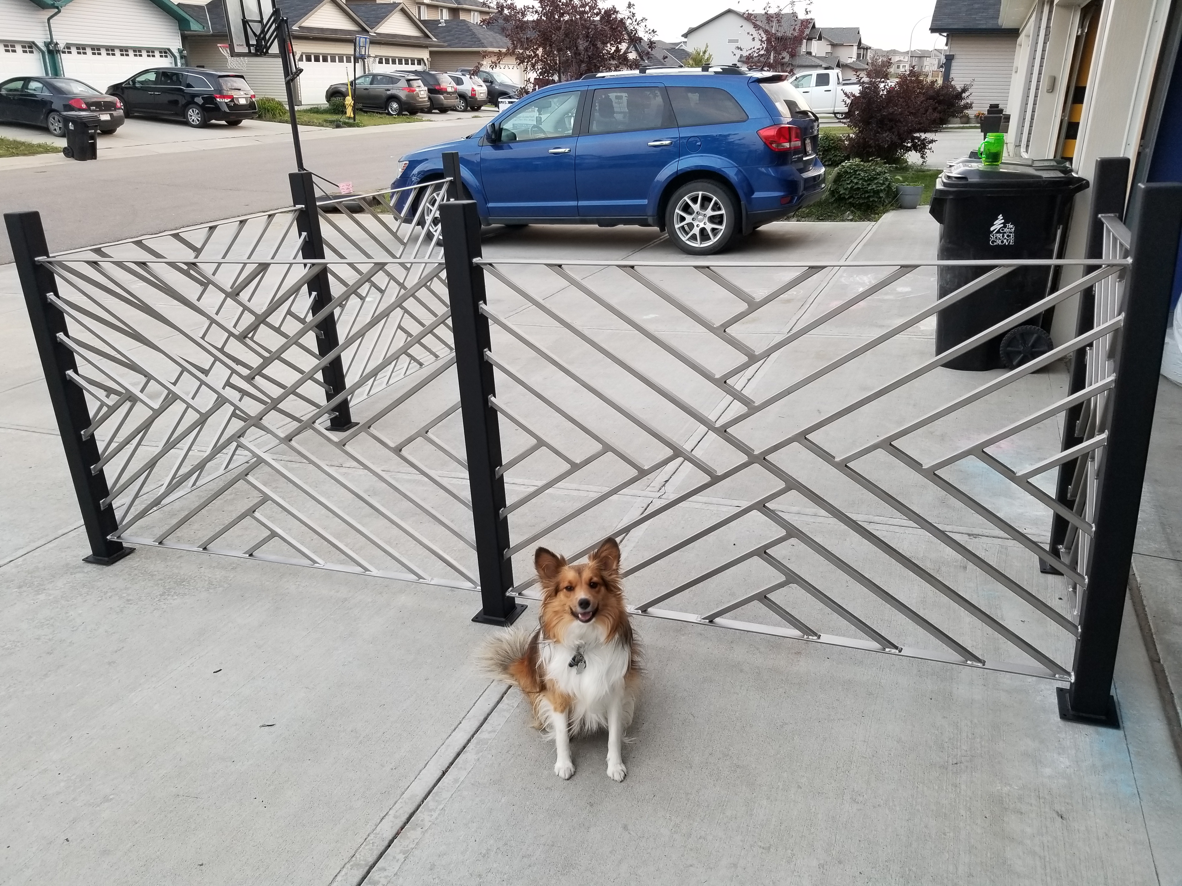 Custom chevron driveway gate